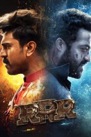 RRR 2024 Hindi Web-dl